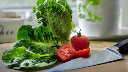 How to regrow romaine lettuce