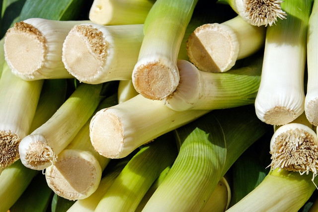 Leeks love the cold, and can grow happily in winter.