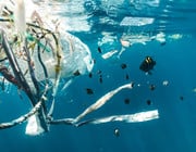Blue ocean water and fish swimming around plastic trash