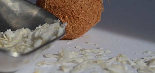 coconut flour substitute