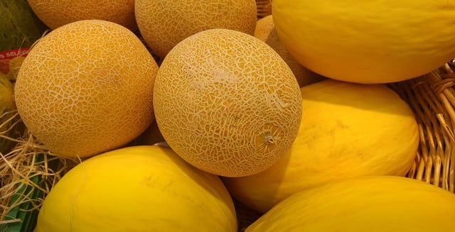 Melons have less citrulline than watermelons.
