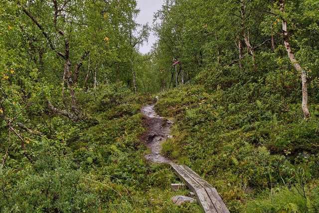 Quality hiking shoes are important for backpacking in the rain.