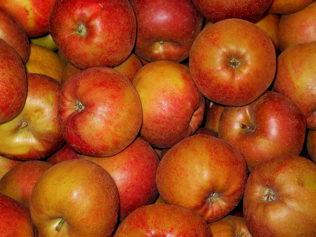 young-fruit-trees-need-nitrogen-for-healthy-growth-cc0-pixabay-kriemer-221210_download Young fruit trees need nitrogen for healthy growth.