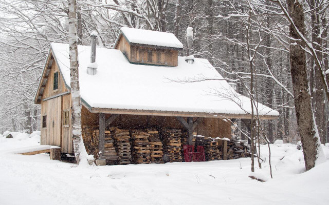 Where does maple syrup come from? The magical building called the sugar shack.