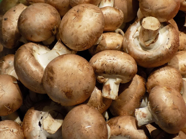 Can you eat mushroom stems? Yes, and you should!
