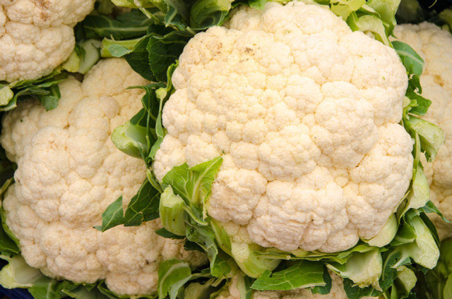 This delicious vegetable can be harvested in winter with no loss of flavor.