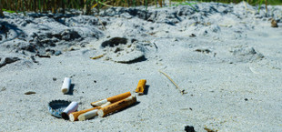 Are cigarette butts biodegradable? Sadly, no.
