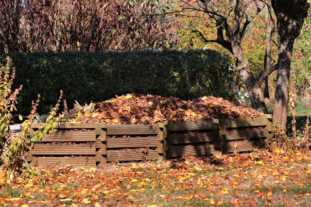 Composting leaves can be done numerous ways, i.e. in a bin or as top soil.