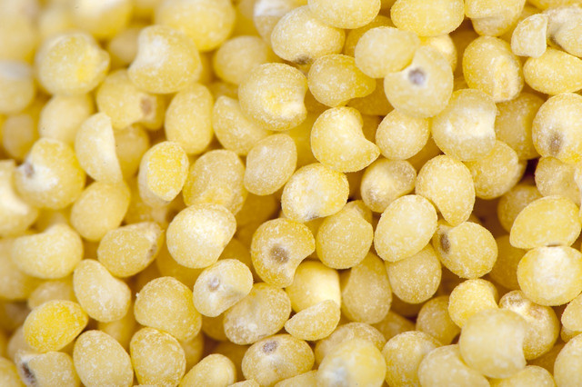 The most common millet you will find at the store is 'proso' millet.