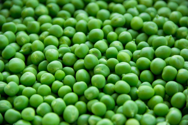 Peas contain a lot of protein and can be used as a vegan protein powder alternative.