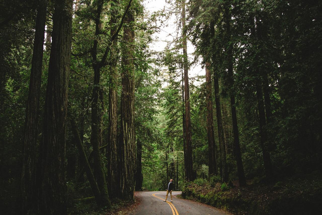 Big Basin Redwood State Park is the oldest state park in California.