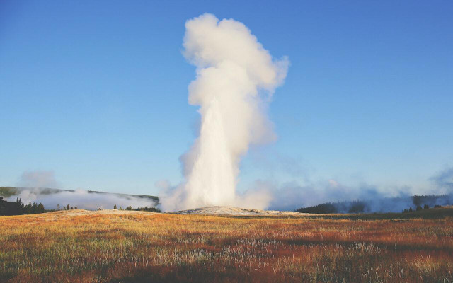 The Upper Geyser Basin has the densest concentration of geysers in the world.