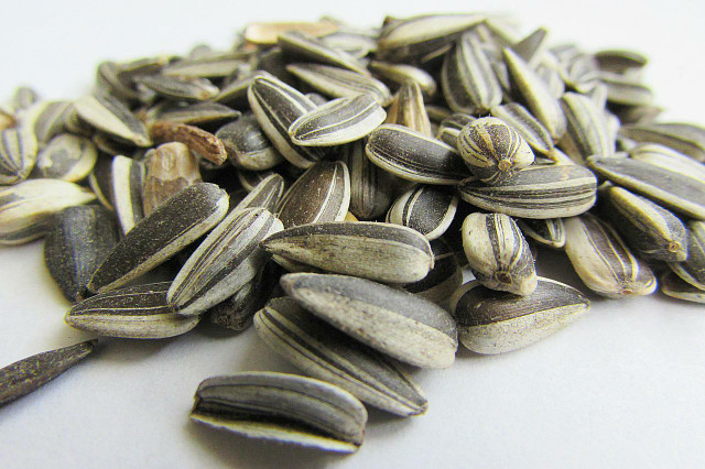 Sunflower seeds are used not only to make sunflower oil for cooking, but also for a healthy spread on your breakfast.