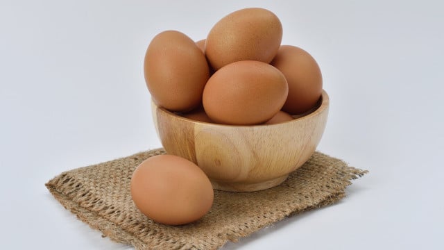 store eggs
