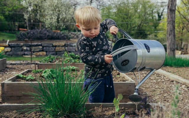 Consider creating a separate space for children to learn at their own pace. 