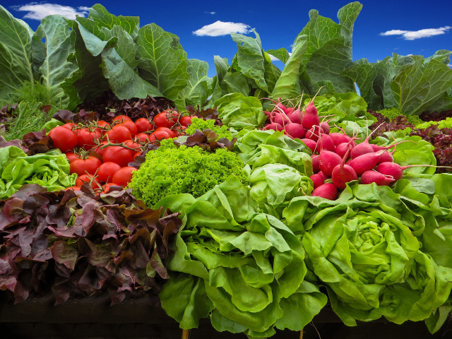 Green leafy vegetables are perfect for a spring salad.