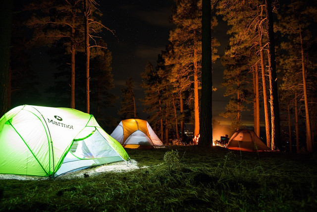 One of the best and most classic summer activities for adults is camping. 