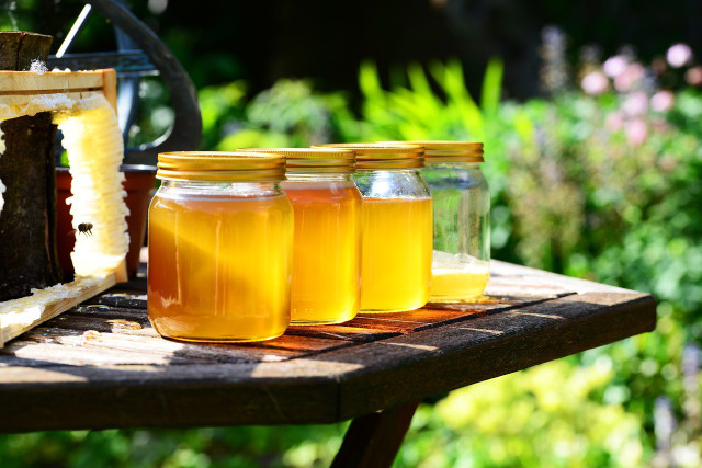 After about a week, you should have a little SCOBY floating at the top of your mason jar. 