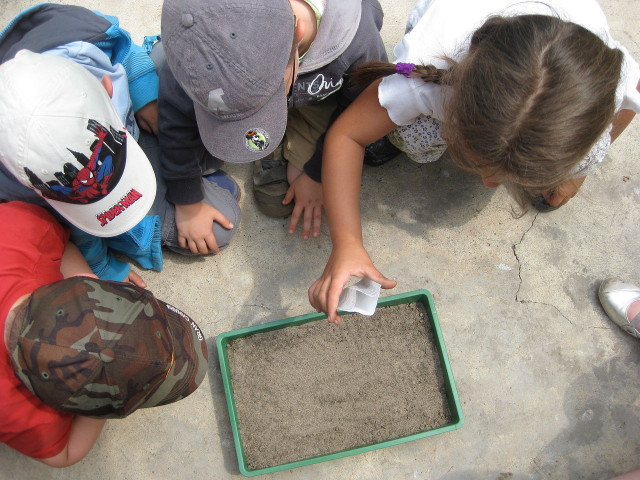 Environmental educators can teach kids about nature.