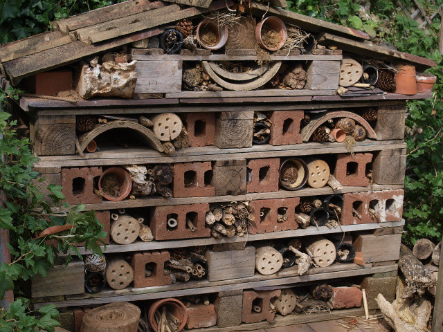 A bug hotel will provide a safe home for wildlife. 