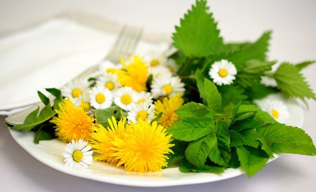 The nutritional benefits make adding this plant to your plate a very good idea. 