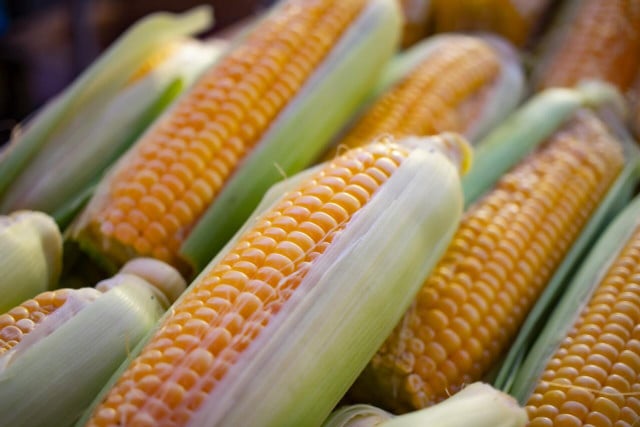 Can you eat raw corn? There are important pros and cons.