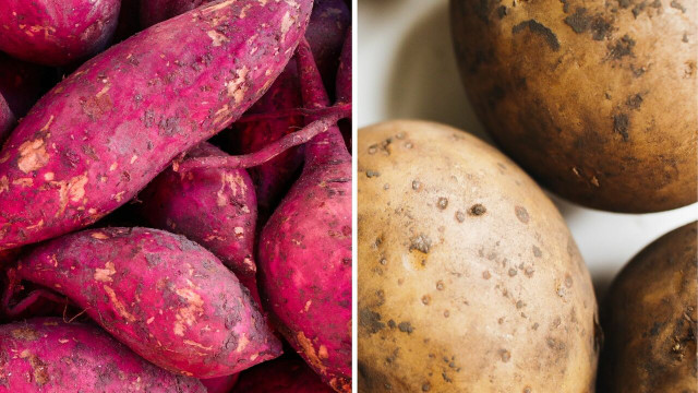 sweet potato vs russet potato