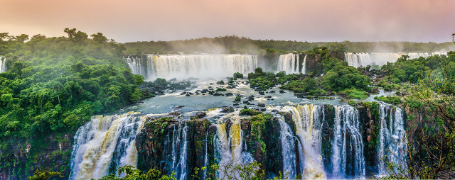 Tropical rainforests are the most biodiverse types of forests.