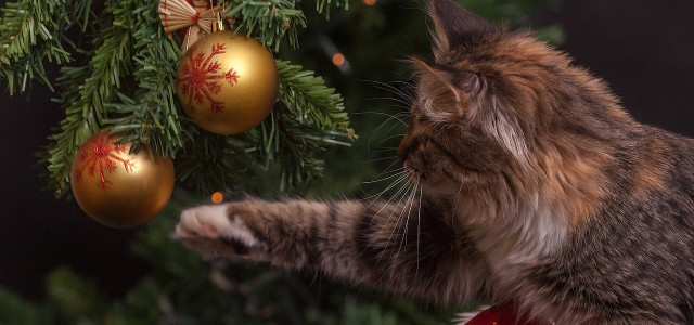how to keep cats away from christmas tree