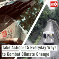 Take Action: 15 Everyday Ways to Combat Climate Change