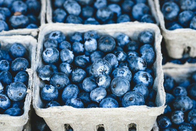 Blueberries help to promote gut health.