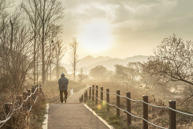 You'll see results almost immediately with morning walks — they give a rejuvenating burst of energy.