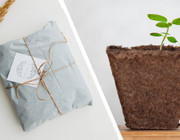 Eco-friendly gift ideas sustainable last minute presents