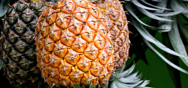 pineapple peel