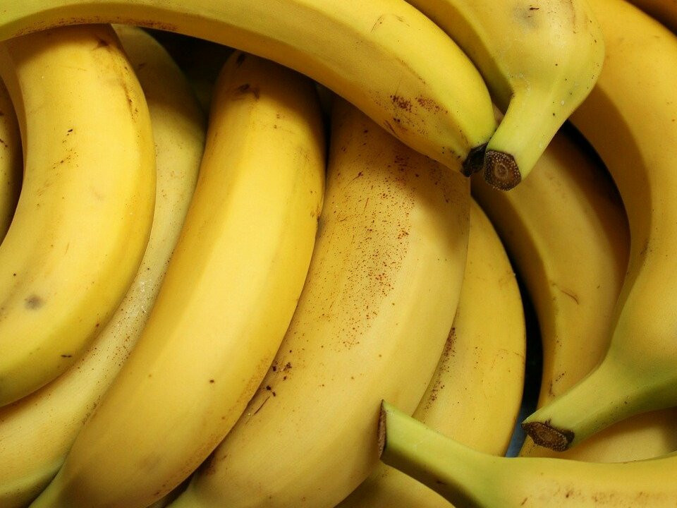 How to Store Bananas So They Don't Turn Brown