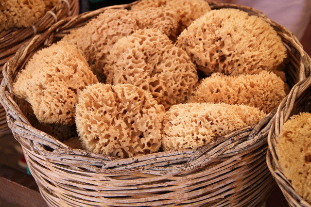 As an alternative to paper towels, use sponges that are washable and/or made of organic materials.