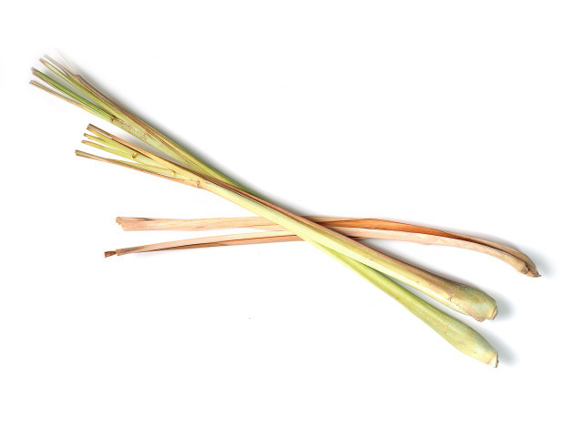 Lemongrass is an aromatic grass often used in South Asian recipes, and luckily for us, a natural repellent to flies and mosquitos. 