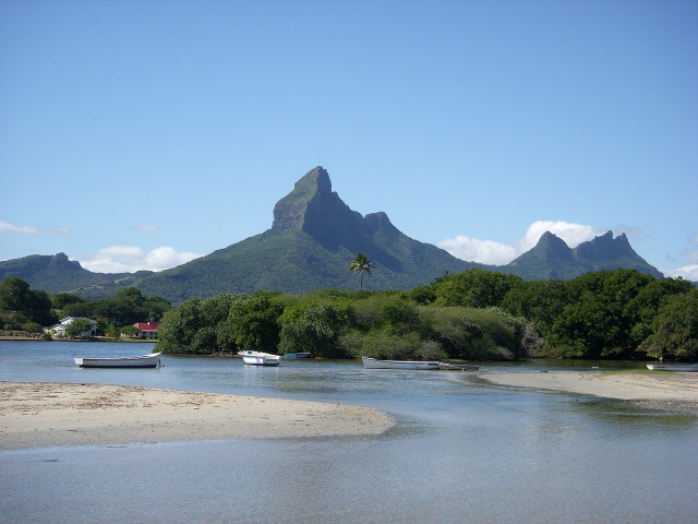 Dodos made their home on the island of Mauritius.