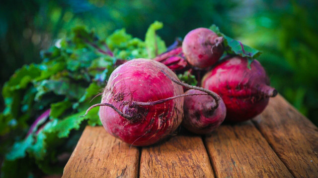 how to plant beets