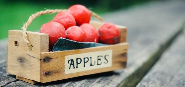 Storing apples proper techniques