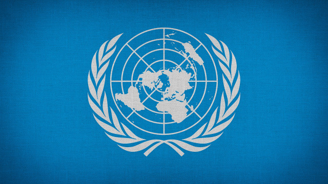 The UN offer loads of online volunteer opportunities. 