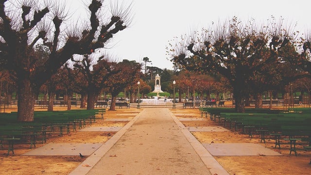 Go for a jog around Golden Gate Park.