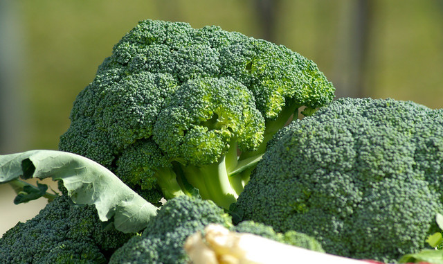 Leafy green vegetables are an important part of a healthy diet.