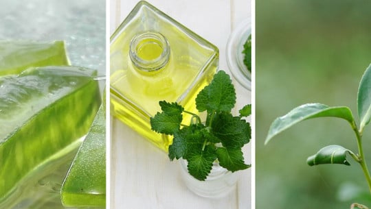 diy mouthwash