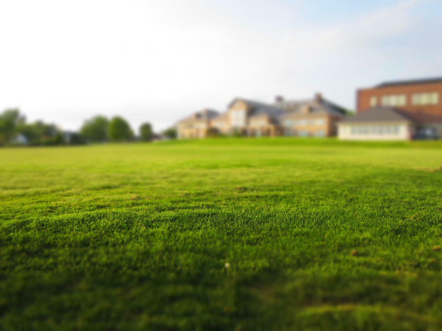 Lawns are native to the wetter and milder climate of Europe.