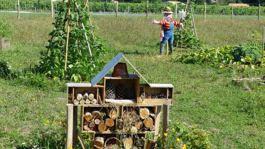 Permaculture designs