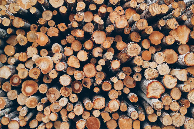 Proper firewood storage can avoid unwanted waste.
