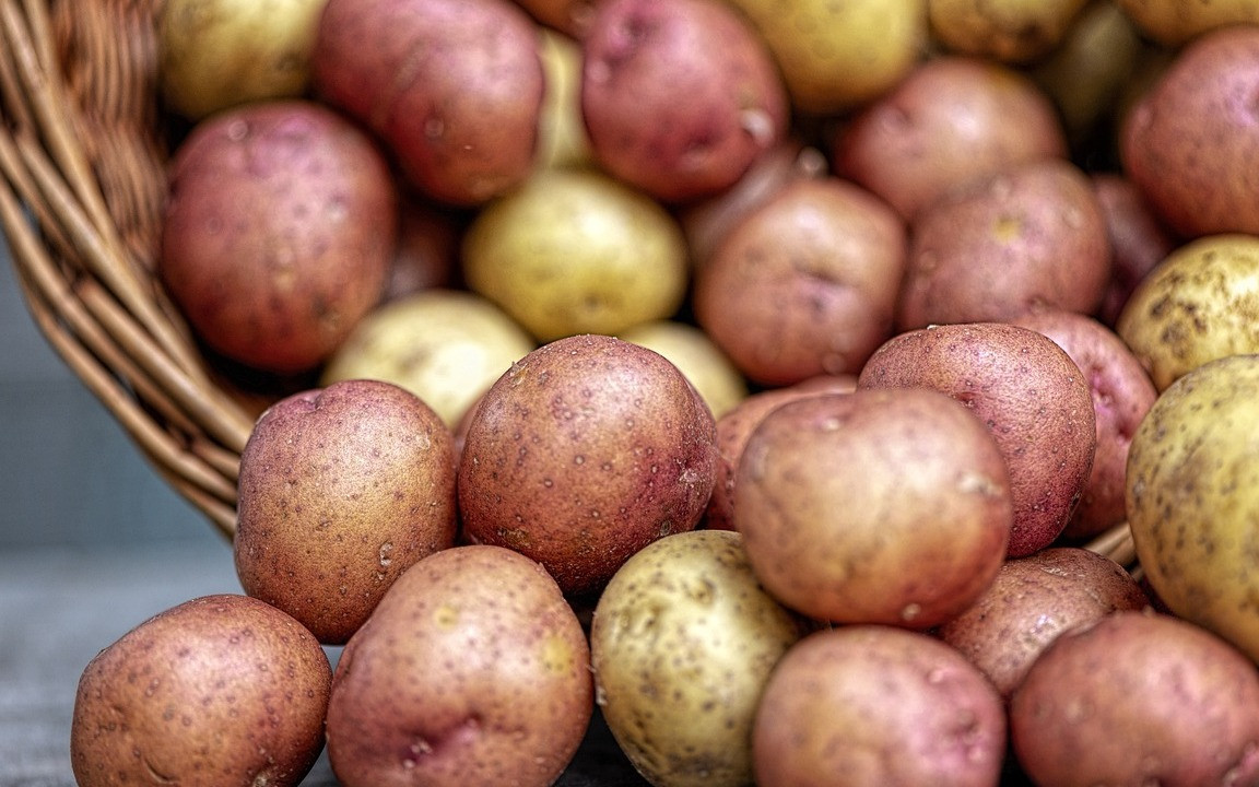 Potatoes 101: All You Need to Know About Common Spuds