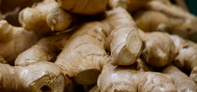 Ginger root health benefits