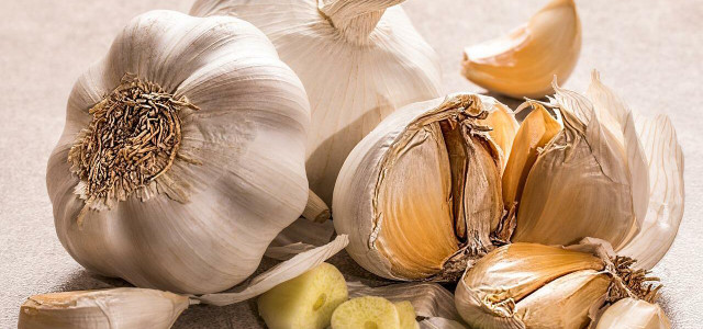 raw garlic health benefits